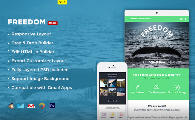 Freedom Newsletter Template