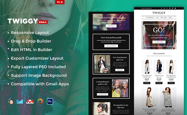 Twiggy Multipurpose Email Template